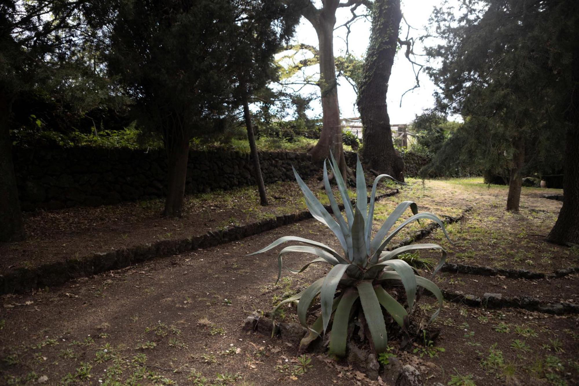 Parco Statella Vila Montelaguardia Exterior foto
