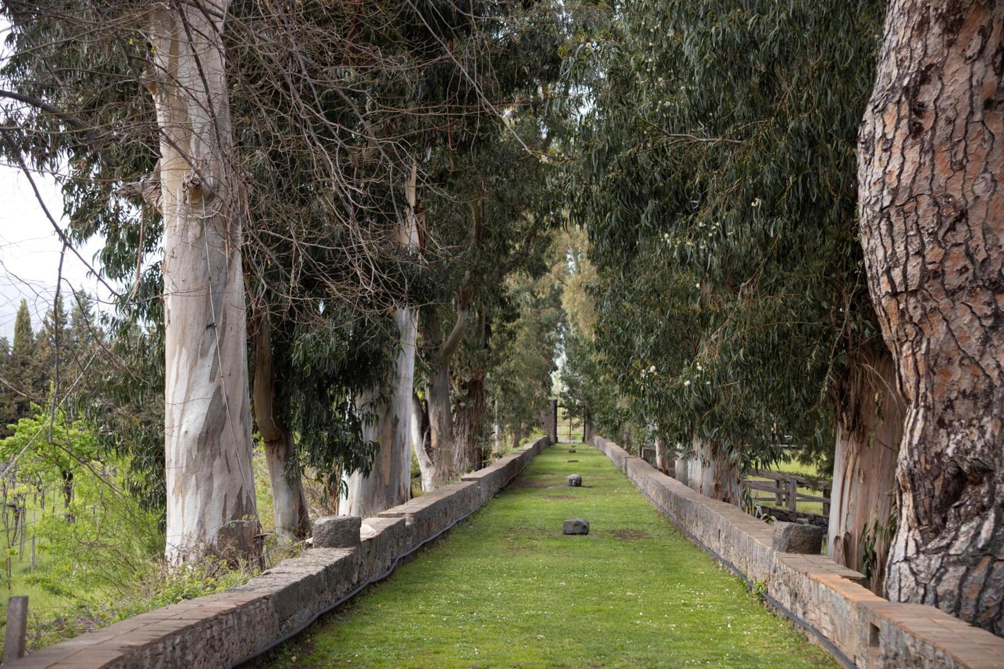 Parco Statella Vila Montelaguardia Exterior foto