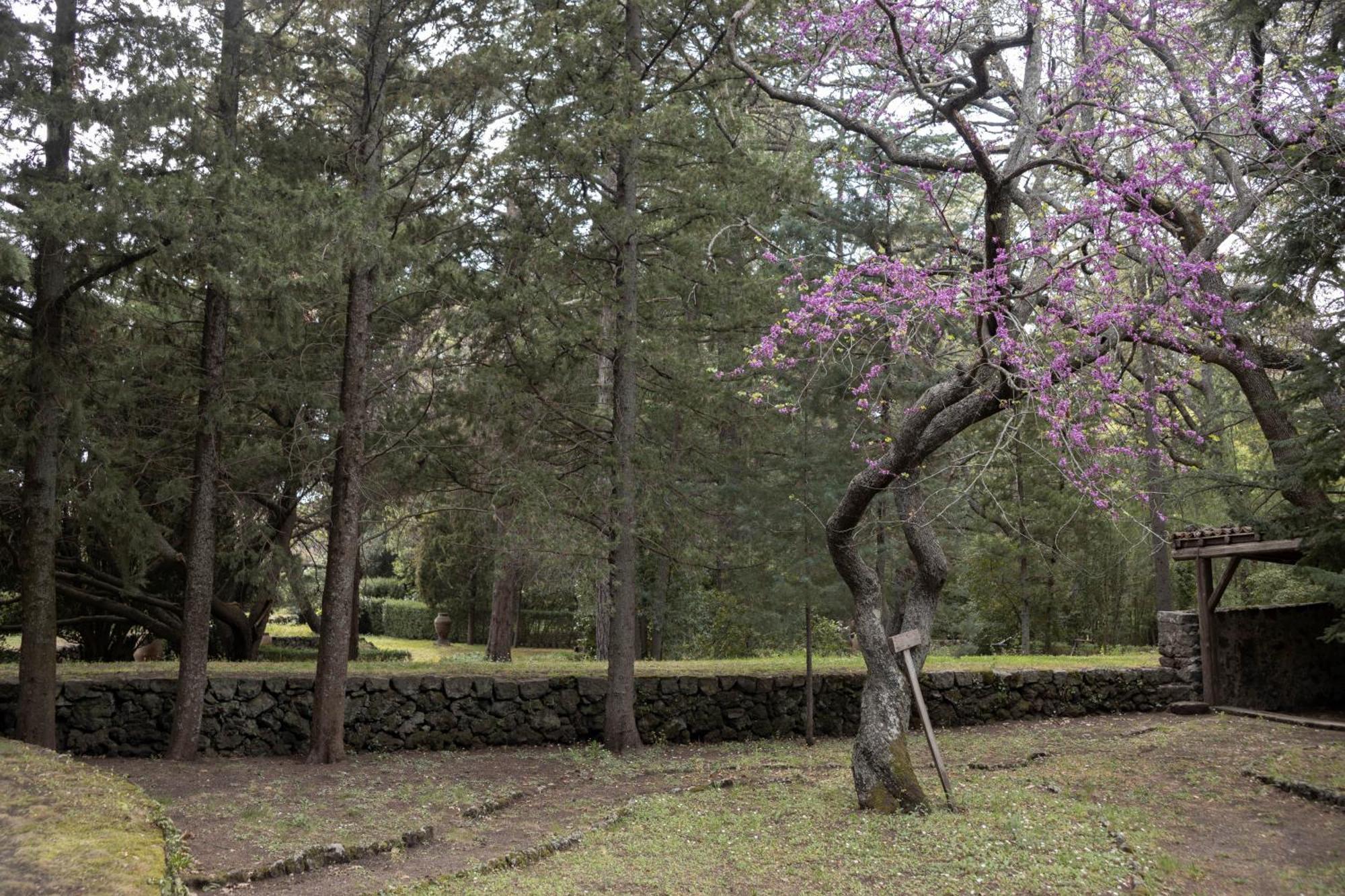 Parco Statella Vila Montelaguardia Exterior foto